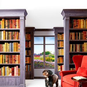 Bookouture A Mercy McCarthy Mystery Kindle Store-0