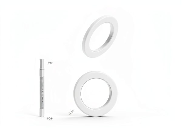 INA Axial Bearing Washer LS5578 Through‑Hardened Chromium Steel-1
