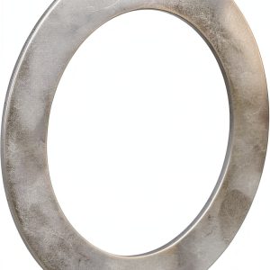 INA AS5578 Thrust Roller Bearing Washer 55mm ID x 78mm OD, 1mm-0